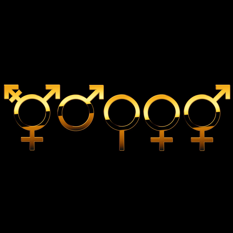 BDSM-Gäste BDSM-Gäste