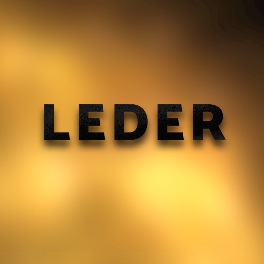 Leder-Ausstattung